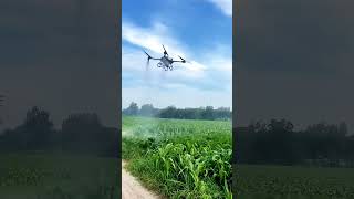 Feel the drone wind  😂😂 #dronevideo #agriculture #agridrone #dronelife #fypage