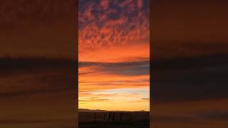 Desert sky on fire out in Arizona #jasonaldean #Arizona #deserts #highwaydesperado