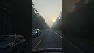 Road and music #shorts #music #nature #road #trip #work #car #morning #relaxing ##clouds #sunrise