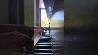 Playing Für Elise, at a different tempo!