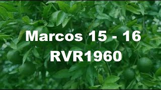 Marcos 15 - 16