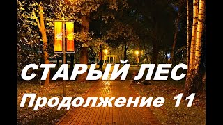 Продолжение 11- (ПРОВОДНИК по Невыдуманному Зазеркалью. МАСТЕР ОЭМНИ)- СТАРЫЙ ЛЕС - Всеволод Шмаков