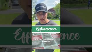 EFFLORESCENCE Removal | BEST Power Wash LI