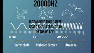 20000 Hz   Ultrasound that can be heard by children of 10 years of age keep in mind that a lot also.