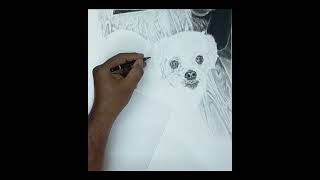 Realistic Dog Drawing (Short Version) || A Cute Puppy 🐶 Pencil Drawing