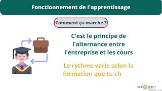 Tout savoir sur l'apprentissage et parcoursup