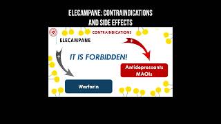 Elecampane: contraindications and side effects #elecampane #herbs #herbalmedicine #sideeffects