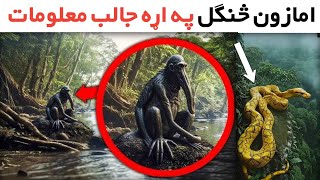 Facts About Amazon Rainforest _ د امازون څنګل په اړه جالب معلومات