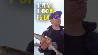 ПЕРВАЯ В ЖИЗНИ РЫБА! #grass #грасс #fishing #судак #джиг