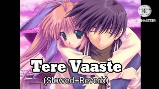 Tere Vaaste - (Slowed+Reverb) Vicky Kaushal (Use Earphones 🎧)