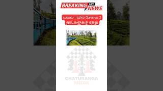 மலை ரயில் சேவை 2 நாட்களுக்கு ரத்து #ooty #hillstation #hilltrain #traincancelled