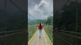 Each step on this wooden bridge through the forest is a reminder that journey itself #halaltravel