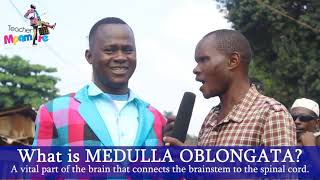 What is Medulla Oblongata? |  Teacher Mpamire On the Street