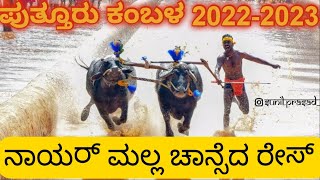 ಪುತ್ತೂರು ಕಂಬಳ ನಾಯರ್ ಮಲ್ಲ ಚಾನ್ಸೆದ ರೇಸ್ ¶putturu nayar malla chanceda reace 2022-2023¶