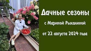 Дачные сезоны с Мариной Рыкалиной от 22 августа 2024 года