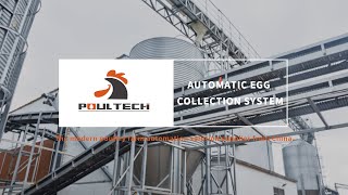 Poultry Farm Automatic Egg Collection System Built By POUL TECH™ Poultry Farm Business Plan