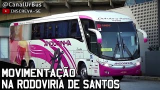 movimentação RODOVIÁRIA DE SANTOS #11: UTIL, Andorinha, Garcia, Gontijo + - Movimentação de ônibus