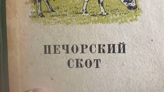 Грачёв Вадим Сергеевич. Обзор моей домашней библиотеки. Часть 120. Породы крупного рогатого скота.