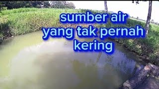 dailyvlog pergi ke sendang mata air yang tak pernah kekeringan #sendang #mataair #air #sumberair