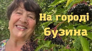 Наталя Фаліон (Лісапетний батальйон) - На городі бузина