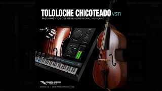 Tololoche Chicoteado AU & VST plugin for MAC or Windows