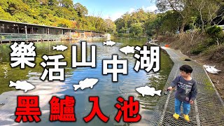 樂活山中湖黑鱸入池