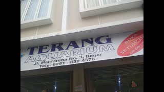 Terang Aquarium, Toko Ikan Hias Terlengkap di Kota Bogor