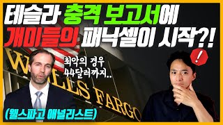 테슬라 충격 보고서.. 올해는 물 건너 갔다?! 44달러 설의 근거와 테슬라 투자자로써의 중심 잡기