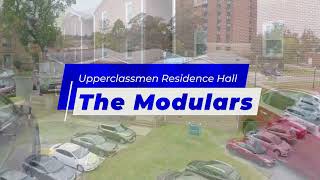 The Modulars