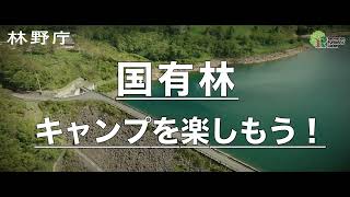 【癒し×日本美しの森】　国有林　キャンプを楽しもう！　Japan's Forests with Breathtaking Views