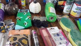 DOLLAR TREE HAUL[SO MANY NEW GOODIES] LAST ONE FOR JULY