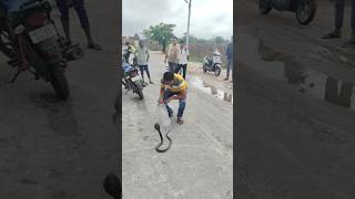 यूट्यूब पर पहली बार ऐसा विडियो आया#viral shiv tandav with cobra🪱🐍👍 #trending