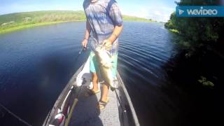 Fishing Docks For HUGE Bass!