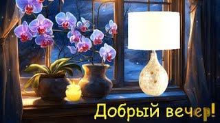 Добрый вечер, друзья мои 💖Чудесного вам вечера 💝💜