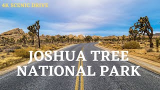 The Ultimate Joshua Tree National Park Driving Tour 4K