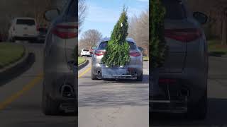 Ultimate Tree Transportation Hack 😂