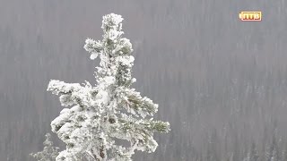 Висимский заповедник. Неизведанный мир. Если дома не сидится