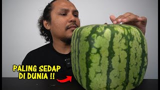 orang pertama makan TEMBIKAI PETAK japan square watermelon