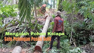 Mengolah Pohon Kelapa Posisi Yang Sedikit Sulit