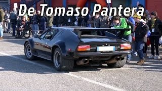 De Tomaso Pantera - Insieme per un sorriso 2015 - Full HD