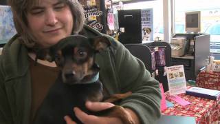 Alternative Humane Society of Whatcom County