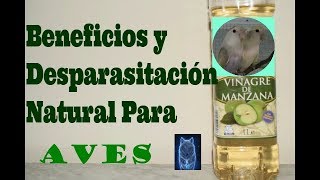 Vinagre de Manzana DESPARASITANTE NATURAL (Mini Tutorial)