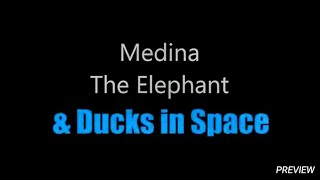 Medina The Elephant & Ducks In Space!- Preview