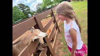 Twin Oaks Fun Farm in Forsyth, GA