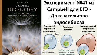 Эксперимент №41 из Campbell для ЕГЭ - Доказательства эндосибиоза