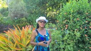 Exploring the Unique Andromeda Botanic Gardens in BARBADOS