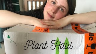 huge plant haul | kneusjesbox