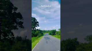 #buttala #visitsrilanka #road #skye #trees #green #youtubeshorts #shorts  #shortvideo