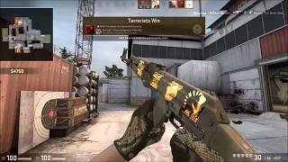 Souvenir Ak 47 Safari Mesh (Factory New) Ace Again!