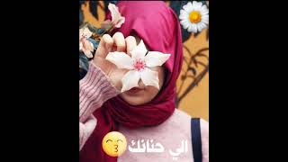 حالات واتس حب 😍اناشيد دينيه 🌼القلب سلم ليك امره🖤🥀🍃